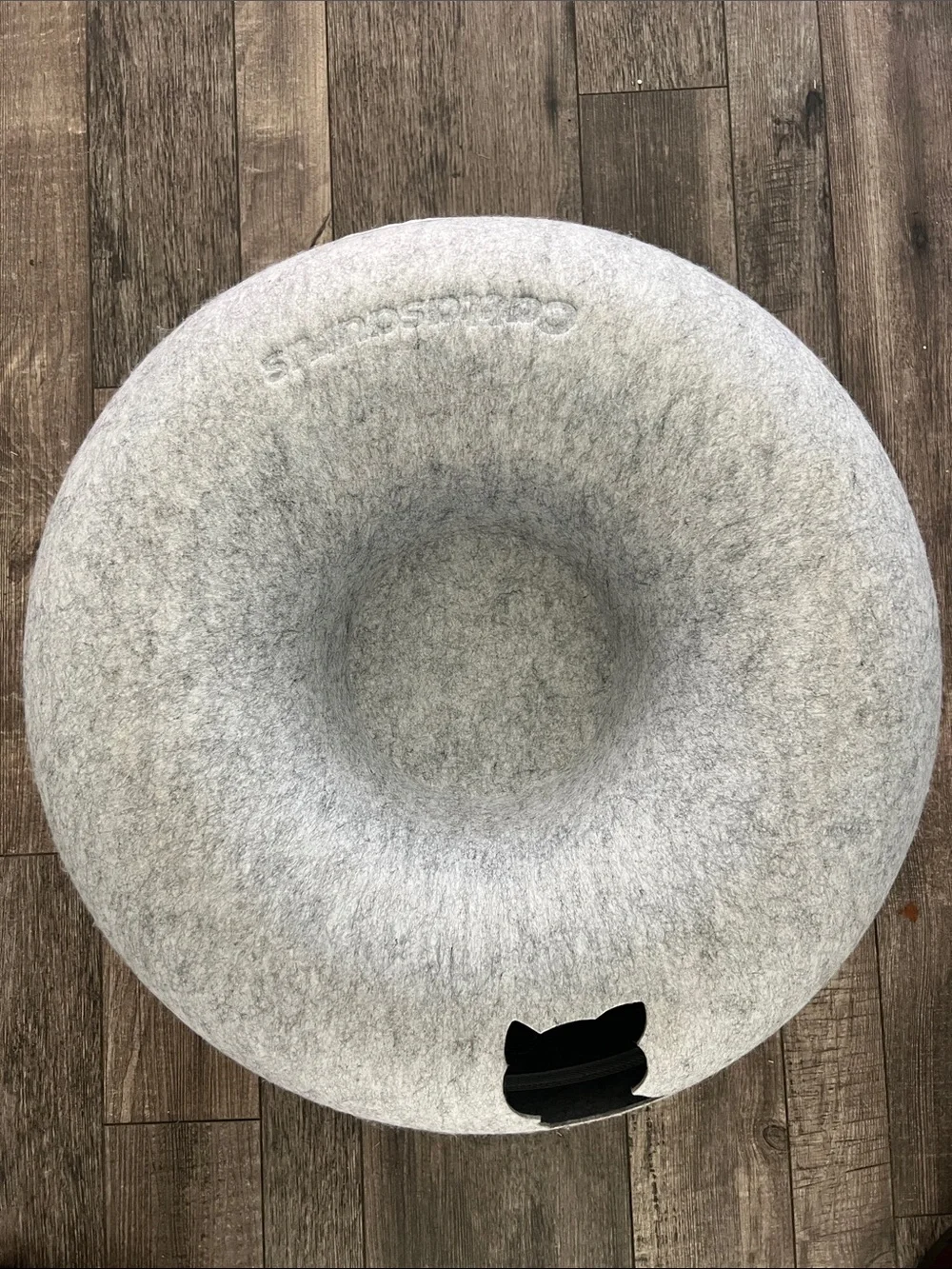 Cattasaurus peekaboo cat cave size Large (about 23inches across)